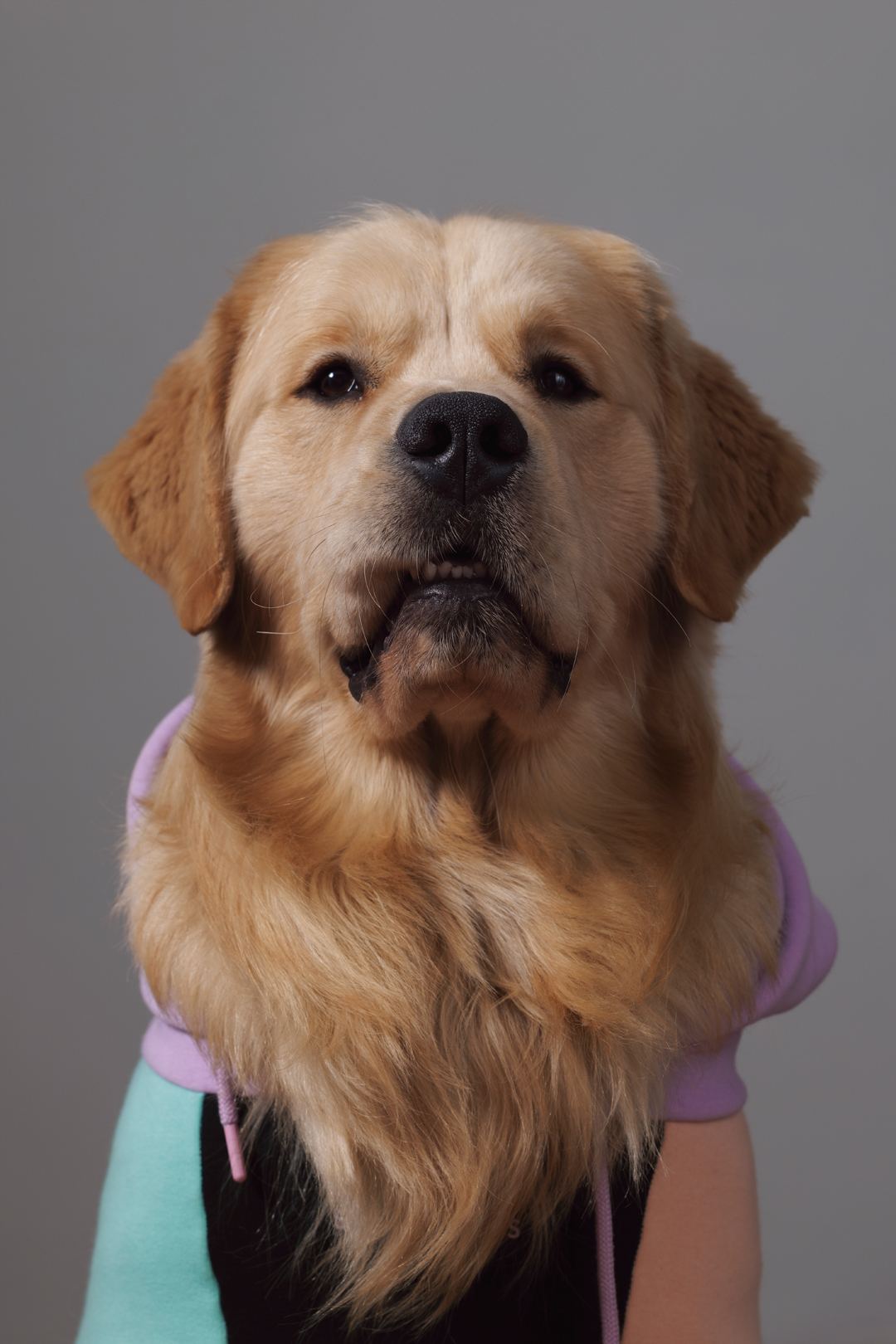 Bijili giving an unimpressed look in a pastel hoodie
