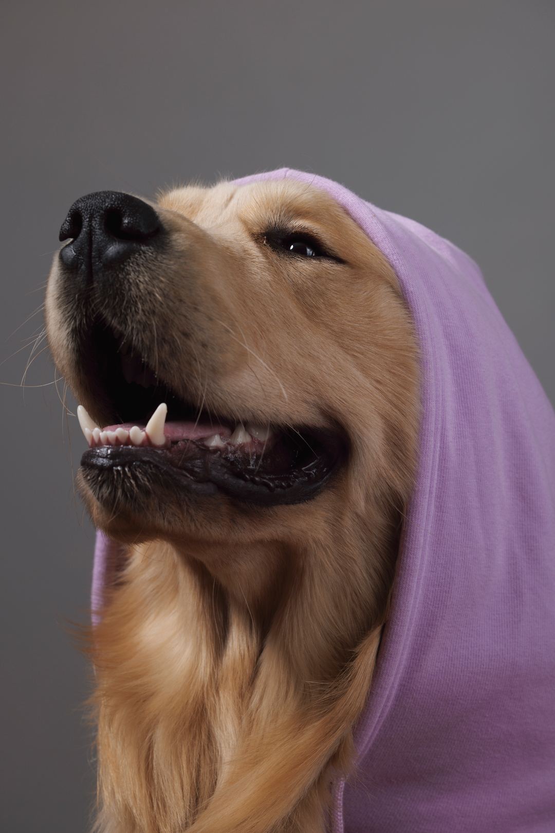 Bijili in profile wearing a lilac hood